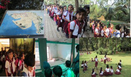 Picnic Grade I and II